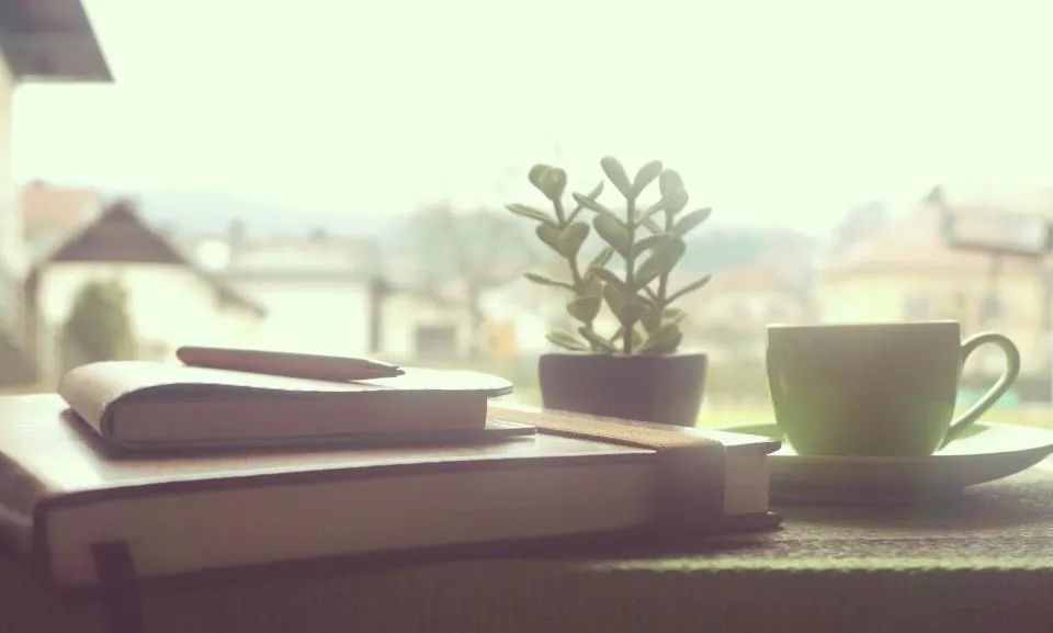 An open book, a small plant, and a cup of coffee by a sunny window