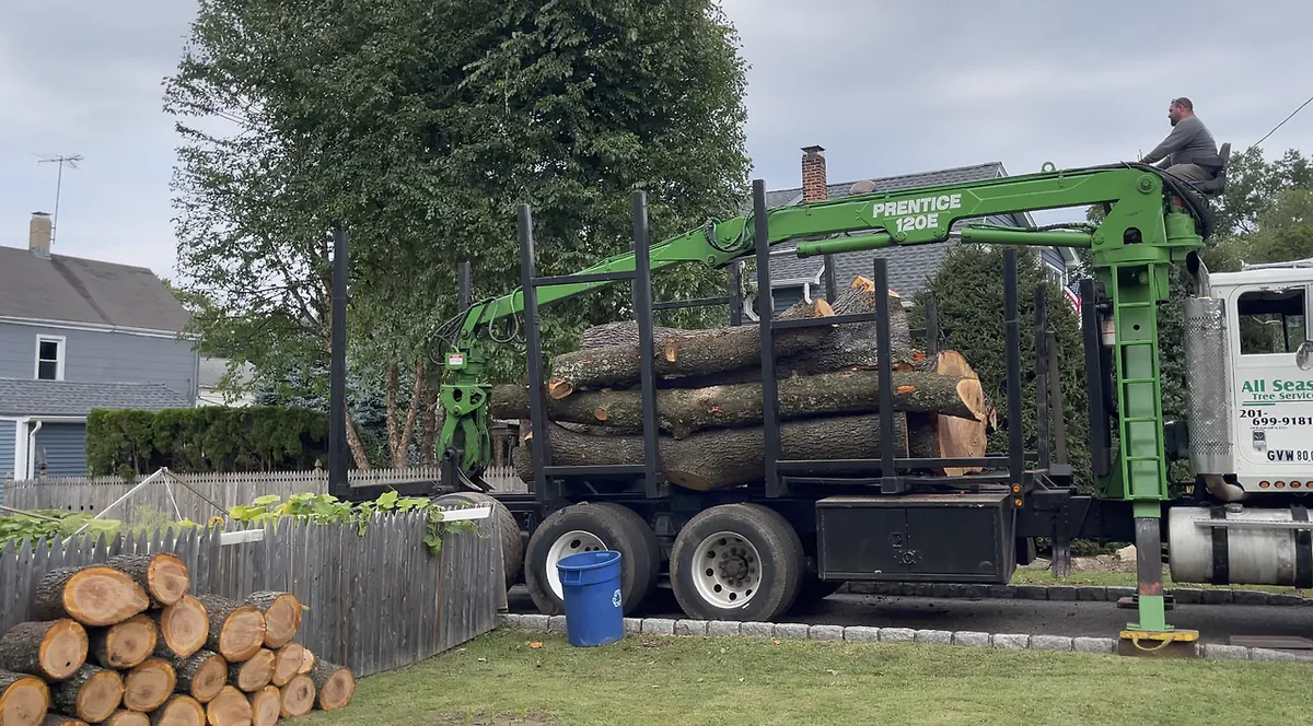 A green crane truck loaded with cut sections of the old tree, with more logs stacked by the fence and a worker on top